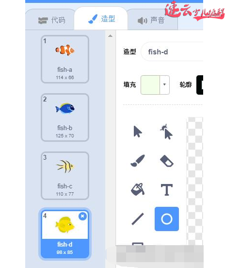 济南少儿编程：Scratch编程之云老师带你做捕鱼游戏！~山东少儿编程~少儿编程(图2)